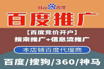 某某SEM服务公司如何帮助企业实现ROI最大化